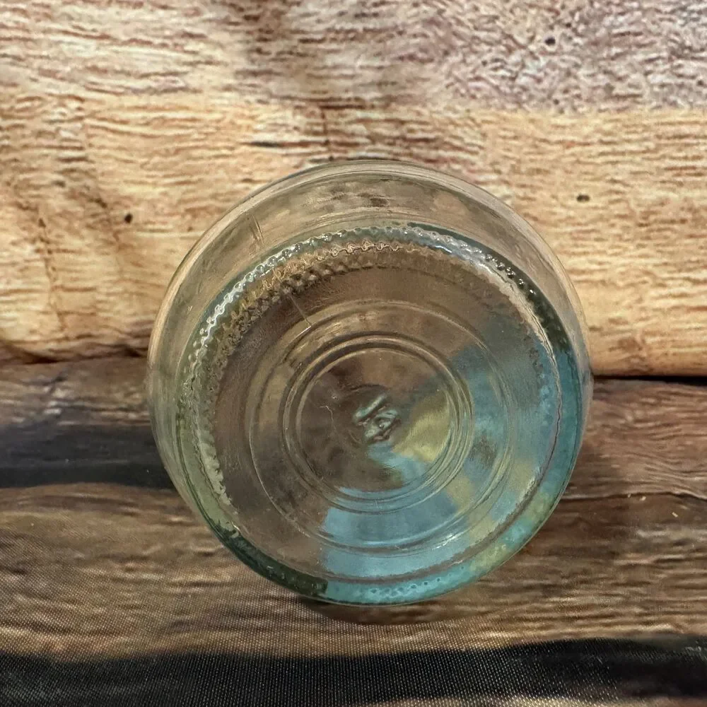 Welch's 1999 Endangered Species American Crocodile Jelly Jar Drinking Glass WWF